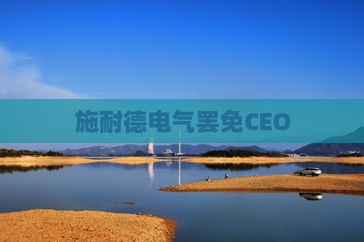 施耐德电气罢免CEO
