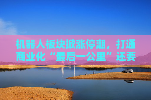 机器人板块掀涨停潮，打通商业化“最后一公里”还要多久？