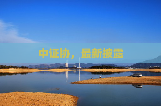 中证协，最新披露