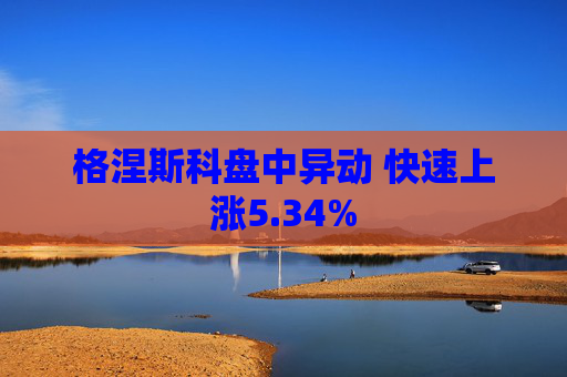 格涅斯科盘中异动 快速上涨5.34%