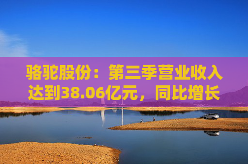 骆驼股份：第三季营业收入达到38.06亿元，同比增长0.68%