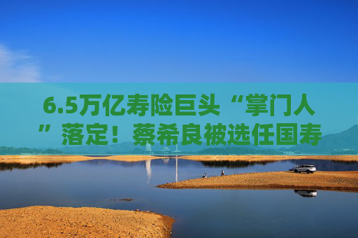6.5万亿寿险巨头“掌门人”落定！蔡希良被选任国寿寿险新一任董事长