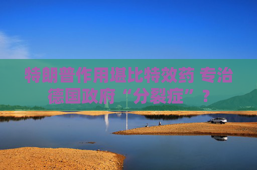 特朗普作用堪比特效药 专治德国政府“分裂症”？