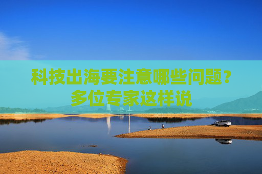 科技出海要注意哪些问题？多位专家这样说