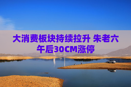 大消费板块持续拉升 朱老六午后30CM涨停