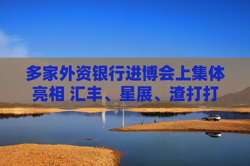 多家外资银行进博会上集体亮相 汇丰、星展、渣打打满“七届” 聚焦中小企业出海新机遇