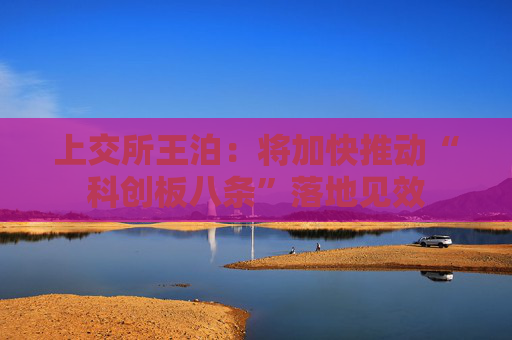 上交所王泊：将加快推动“科创板八条”落地见效