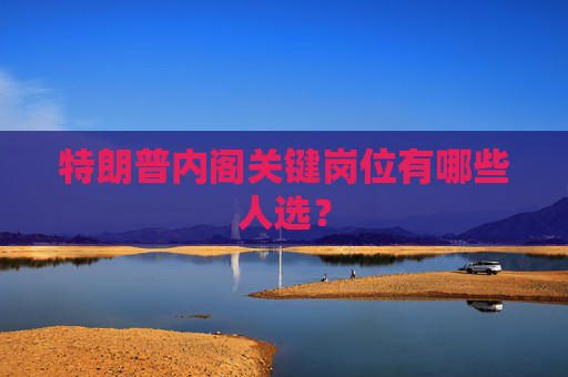 特朗普内阁关键岗位有哪些人选？