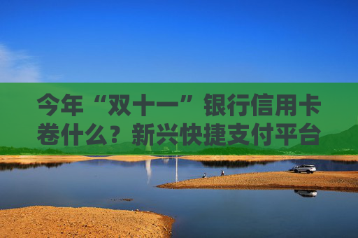 今年“双十一”银行信用卡卷什么？新兴快捷支付平台成为新“战场” 存量时代下沉深耕细分领域