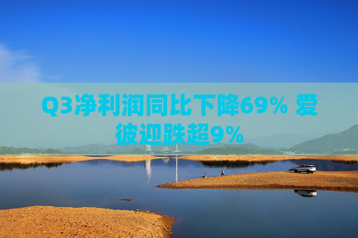 Q3净利润同比下降69% 爱彼迎跌超9%