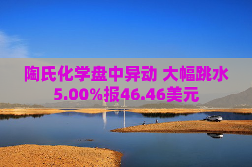 陶氏化学盘中异动 大幅跳水5.00%报46.46美元