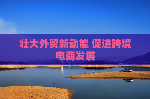 壮大外贸新动能 促进跨境电商发展