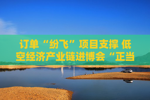 订单“纷飞”项目支撑 低空经济产业链进博会“正当红”