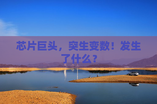 芯片巨头，突生变数！发生了什么？