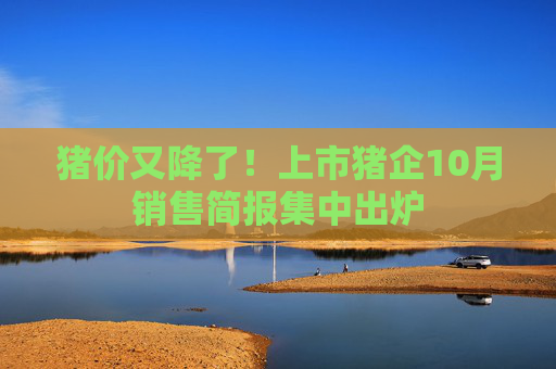 猪价又降了！上市猪企10月销售简报集中出炉