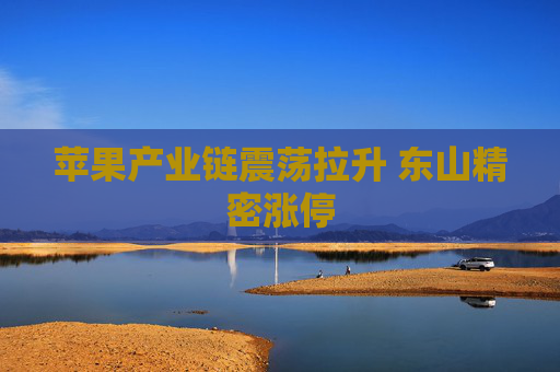 苹果产业链震荡拉升 东山精密涨停