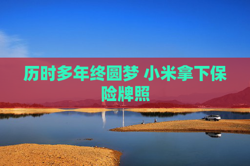 历时多年终圆梦 小米拿下保险牌照