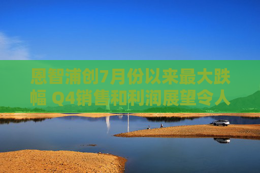 恩智浦创7月份以来最大跌幅 Q4销售和利润展望令人失望
