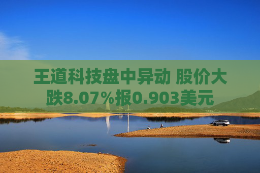 王道科技盘中异动 股价大跌8.07%报0.903美元