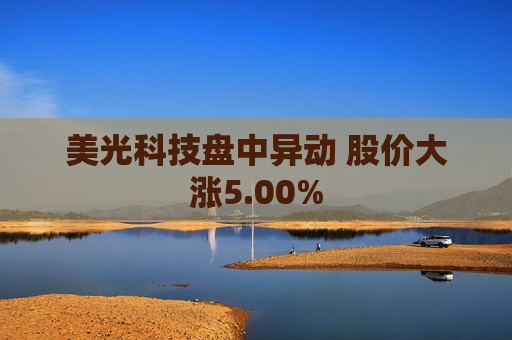 美光科技盘中异动 股价大涨5.00%