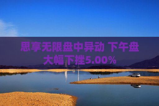 思享无限盘中异动 下午盘大幅下挫5.00%