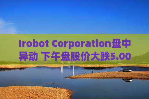 Irobot Corporation盘中异动 下午盘股价大跌5.00%报6.56美元