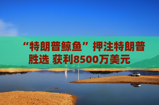 “特朗普鲸鱼”押注特朗普胜选 获利8500万美元