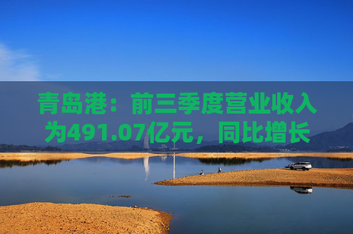 青岛港：前三季度营业收入为491.07亿元，同比增长9.10%