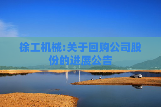 徐工机械:关于回购公司股份的进展公告