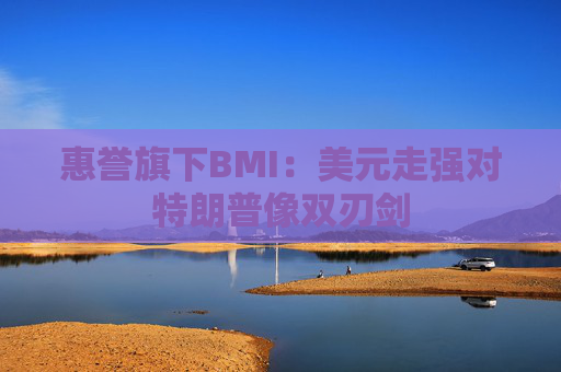 惠誉旗下BMI：美元走强对特朗普像双刃剑