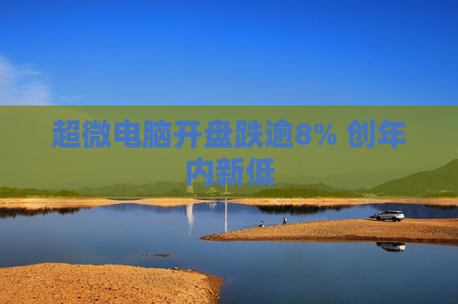 超微电脑开盘跌逾8% 创年内新低