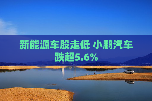 新能源车股走低 小鹏汽车跌超5.6%