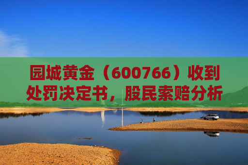 园城黄金（600766）收到处罚决定书，股民索赔分析