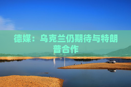 德媒：乌克兰仍期待与特朗普合作