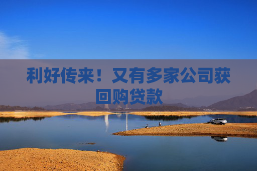 利好传来！又有多家公司获回购贷款