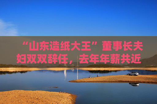 “山东造纸大王”董事长夫妇双双辞任，去年年薪共近500万元，妻弟仍任副总经理