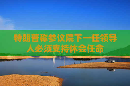特朗普称参议院下一任领导人必须支持休会任命