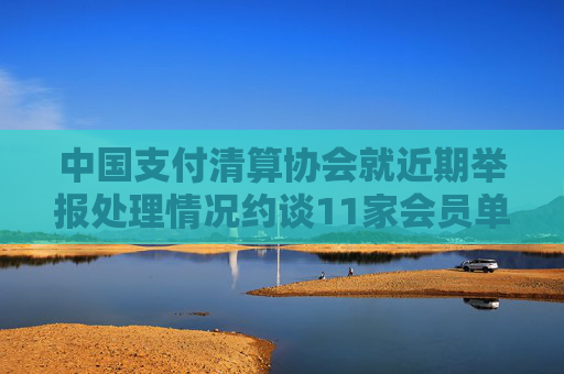 中国支付清算协会就近期举报处理情况约谈11家会员单位负责人