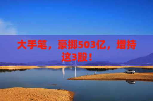 大手笔，豪掷503亿，增持这3股！