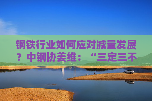 钢铁行业如何应对减量发展？中钢协姜维：“三定三不要”要坚持不懈