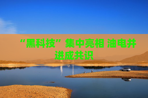 “黑科技”集中亮相 油电并进成共识