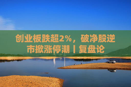 创业板跌超2%，破净股逆市掀涨停潮丨复盘论