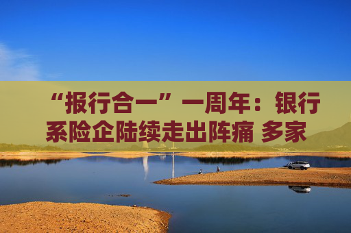 “报行合一”一周年：银行系险企陆续走出阵痛 多家外资险企进入上升通道