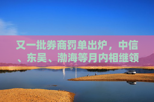 又一批券商罚单出炉，中信、东吴、渤海等月内相继领罚单