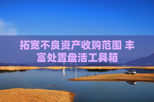 拓宽不良资产收购范围 丰富处置盘活工具箱