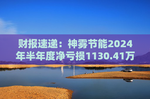 财报速递：神雾节能2024年半年度净亏损1130.41万元