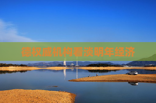 德权威机构看淡明年经济