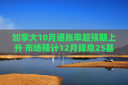 加拿大10月通胀率超预期上升 市场预计12月降息25基点概率约为60%