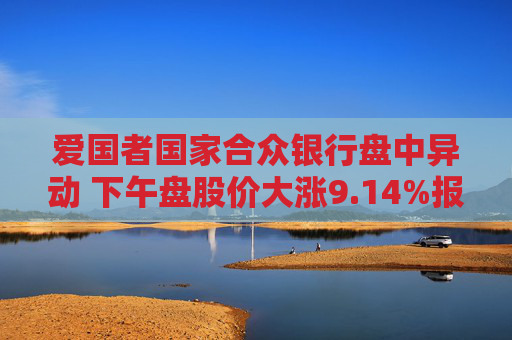 爱国者国家合众银行盘中异动 下午盘股价大涨9.14%报2.03美元