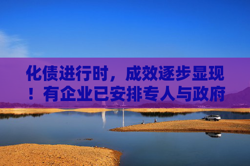 化债进行时，成效逐步显现！有企业已安排专人与政府沟通化债方案，专家预测一年内政策会有显著进展